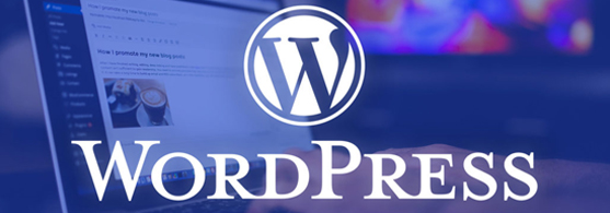 wordpress 1